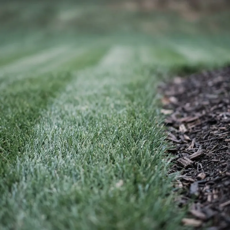 Landscaping crew mowing and edging a residential lawn